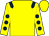 Yellow, dark blue epaulets, yellow sleeves, dark blue spots
