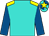 Turquoise, yellow shoulders, royal blue sleeves, turquoise & royal blue quartered cap, yellow star