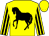 Yellow, black horse, yellow sleeves, black stripes, yellow cap, black tassel