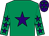 Emerald green, purple star, purple stars on sleeves, purple cap, emerald green stars