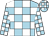 Light blue and white check, white and light blue check sleeves