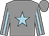 Grey, light blue star, light blue stripe on sleeves