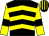 Black & yellow chevrons, yellow sleeves, black armlet, black & yellow striped cap