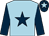 Light blue, dark blue star & sleeves, dark blue cap, light blue star