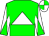 Green, white triangle, diabolo on sleeves, quartered cap