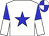 White, blue star, blue and white halved sleeves, quartered cap