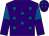 Purple, royal blue spots, halved sleeves, purple cap, royal blue spots