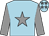Light blue, grey star & sleeves, grey stars on cap