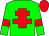 Green body, red cross of lorraine, green arms, red armlets, red cap