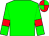 Green body, green arms, red armlets, red cap, green quartered