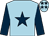 Light blue, dark blue star and sleeves, light blue cap, dark blue stars