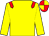 Yellow body, red epaulettes, yellow arms, red cap, yellow quartered