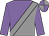 mauve and grey halved diagonally,grey sash, mauve sleeves, mauve and grey quartered cap