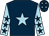 Dark blue, light blue star, light blue arms, dark blue stars, dark blue cap, light blue stars