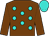 Chocolate, turquoise spots, chocolate sleeves, turquoise cap
