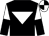 Black, white inverted triangle, halved sleeves, quartered cap