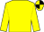 Yellow body, yellow arms, yellow cap, black quartered