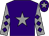 Purple, grey star, grey sleeves, purple diamonds, purple cap, grey star