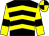Black, yellow chevrons, yellow sleeves, black armlets, quartered cap