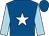 Royal blue, white star, light blue sleeves