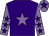 Purple, mauve star and sleeves, purple stars, mauve cap, purple star