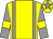 Yellow body, grey braces, grey arms, yellow armlets, yellow cap, grey star