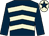 Dark blue, beige chevrons, dark blue sleeves, cap, beige star