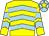 Yellow, light blue chevrons, light blue cap, yellow star