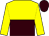 yellow and brown halved horizontally, yellow sleeves, brown cap