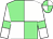 Light green and white (quartered), white sleeves, light green armlets