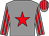 grey, red star, red stripes on sleeves and cap