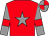 Red, grey star, grey sleeves, red armlets, quartered cap