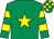 Emerald green, yellow star, hooped sleeves, check cap