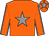 Orange body, grey star, orange arms, grey seams, orange cap, grey star