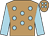 light brown, light blue spots, light blue sleeves, light brown cap, light blue spots