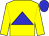 Yellow body, blue triangle, yellow arms, blue cap