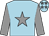 Light blue, grey star and sleeves, grey stars on cap