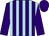 Purple and light blue stripes, purple sleeves and cap
