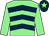 Soft green body, dark blue chevrons, soft green arms, dark blue cap, soft green star