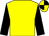 Yellow body, black arms, yellow cap, black quartered