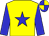 Yellow, blue star, sleeves and quartered cap