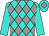 Turquoise, grey diamonds, turquoise sleeves and cap, grey diamond