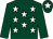 Dark green, white stars, dark green sleeves, white star on cap