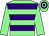 Light green, purple hoops, light green sleeves