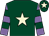 Dark green, beige star, mauve and dark green hooped sleeves, dark green cap, beige star