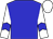 Big-blue body, white arms, big-blue chevron, white cap