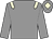 Grey body, beige epaulettes, grey arms, grey cap, beige diamond