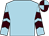 Light blue, brown chevrons on sleeves, quartered cap