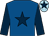 Royal blue, dark blue star and sleeves, light blue cap, dark blue star