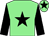 Light green, black star & sleeves, black star on cap